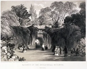 Frederick William Prints: Zoological Gardens, Regents Park, Marylebone, London, c1840. Artist: FW Hulme